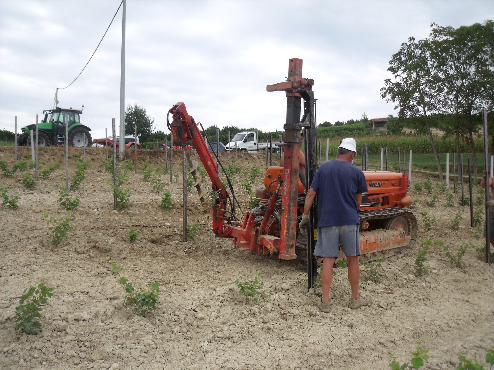 lavori di messa in posa vigneto