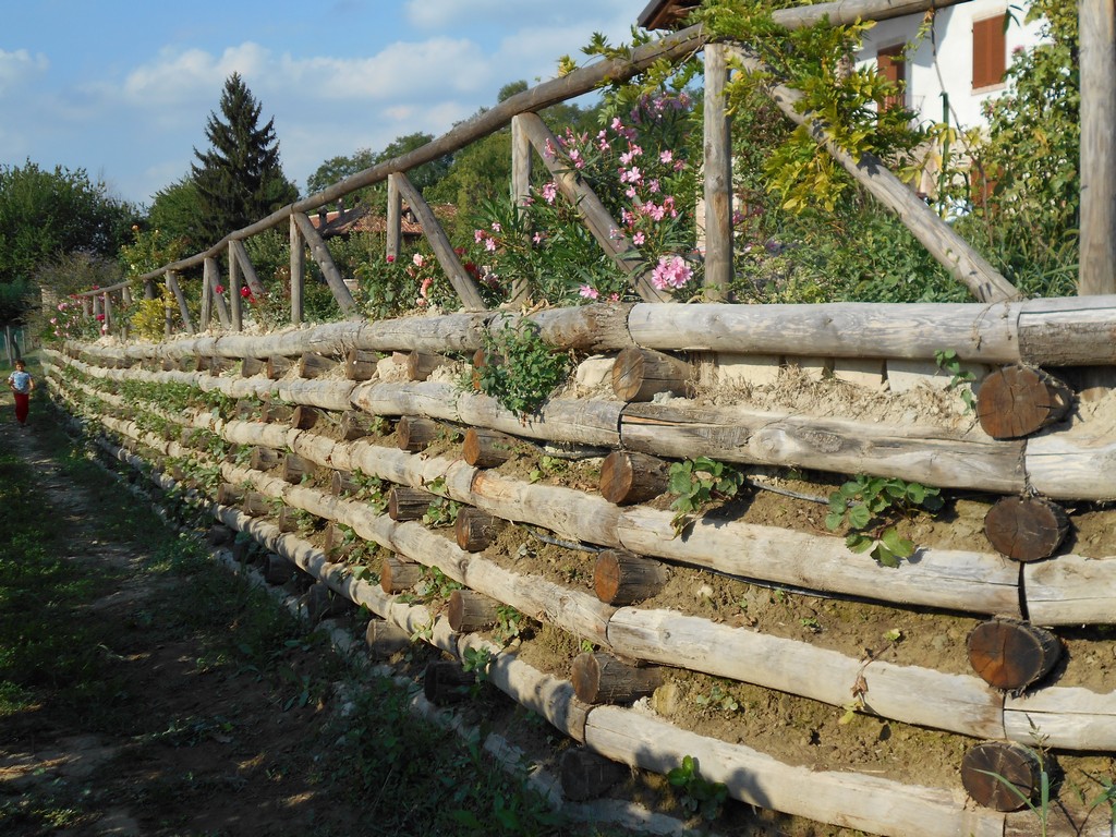 Ci Emme - Pali per vigneto in acciaio ferro legno cemento e reti per  recinzione - Pali Legno