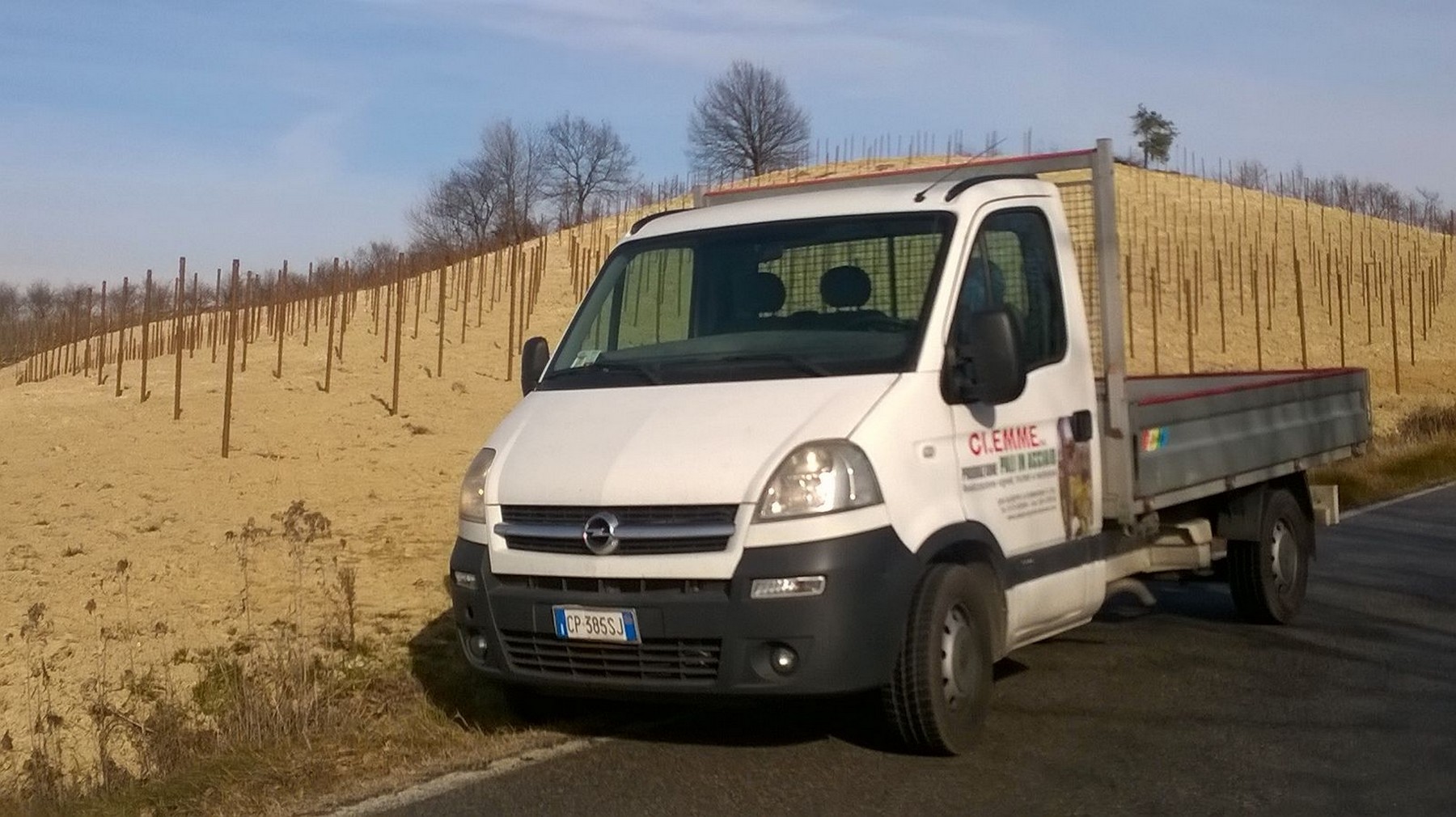 realizzazione vigneto con pali in corten